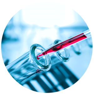 Dịch vụ xét nghiệm vitamin B