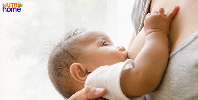 Đường sữa lactose là gì? Ảnh hưởng của đường lactose đến cơ thể