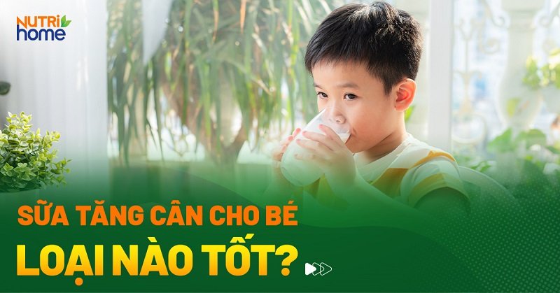 Vì sao u nên sử dụng sữa dành riêng cho trẻ em chậm rì rì tăng cân?