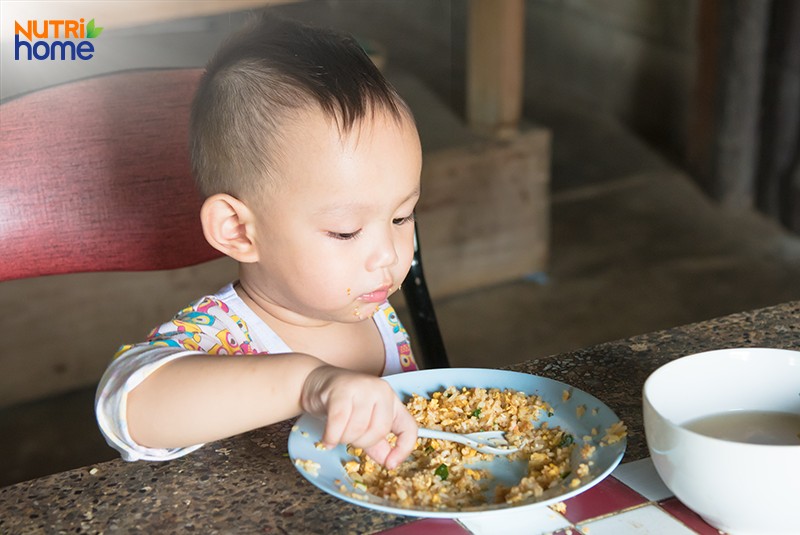 thực đơn ăn cơm trắng cho tới nhỏ bé 1 tuổi