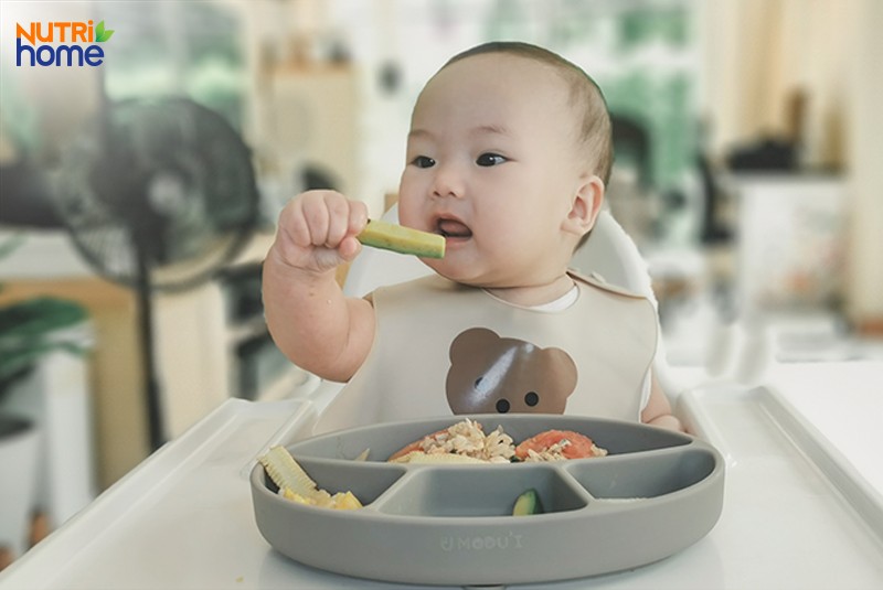 thực đơn cho tới nhỏ bé 1 tuổi hạc ăn cơm