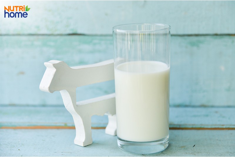 Những loại sữa hoàn toàn có thể thay cho thế cho tới sữa bầu, sữa bò