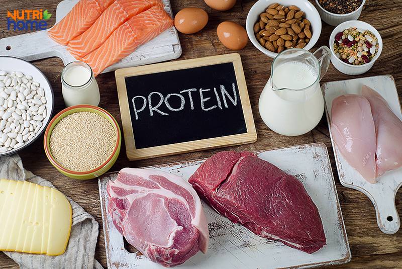 điều trị sỏi thận tại nhà, Hạn chế đạm