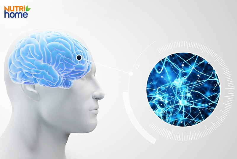 Phân loại đau đầu, đau đầu nguyên phát