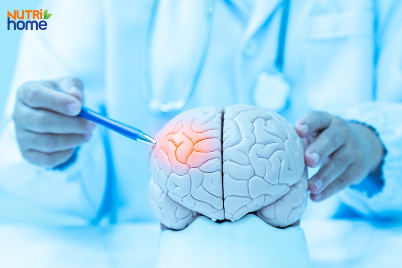 Các bệnh đau đầu nguy hiểm, Đau nửa đầu (migraine headache)