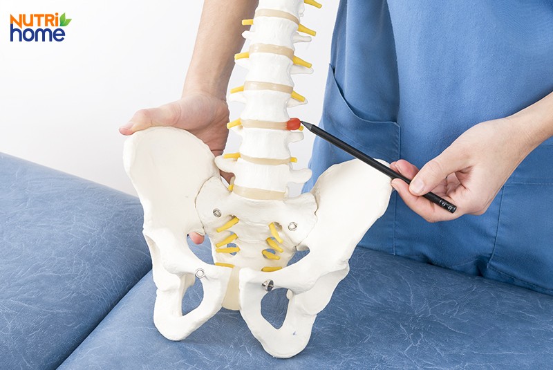 Các loại thoát vị đĩa đệm