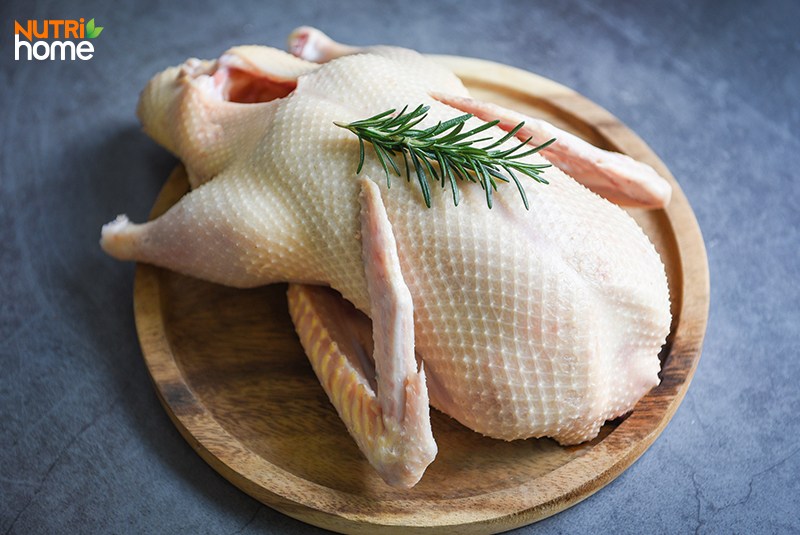 Bệnh gút có ăn được thịt vịt không?