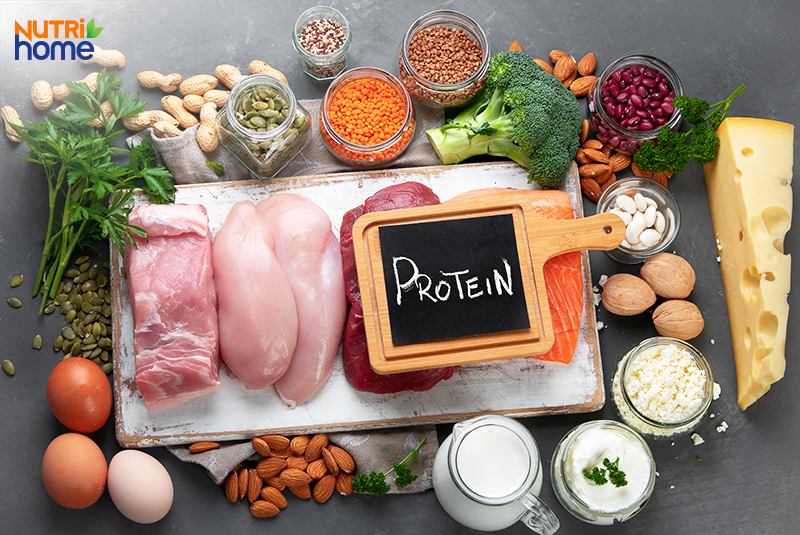 bị loãng xương nên ăn gì, Protein