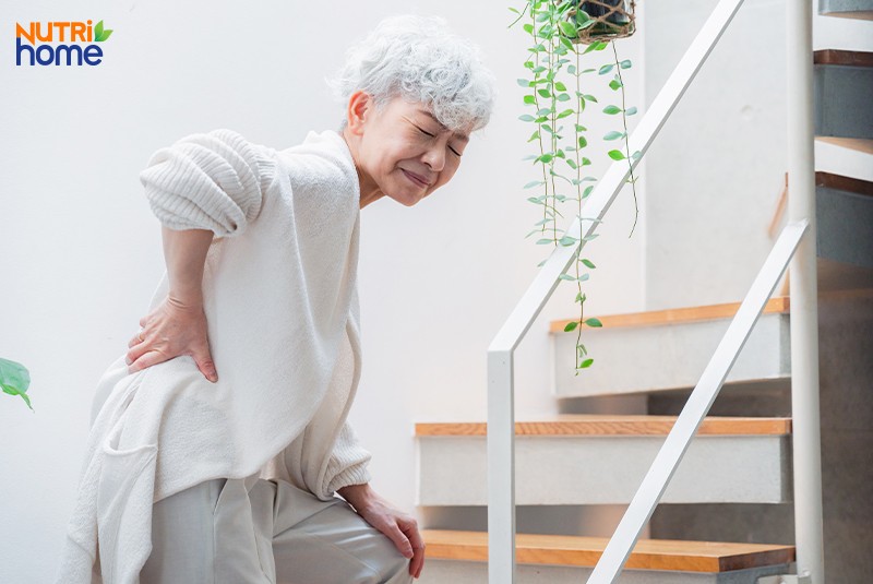 nguyên nhân thoát vị đĩa đệm