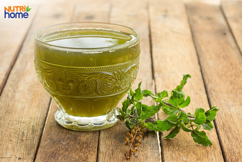 Thức uống trị đau đầu từ lá húng quế