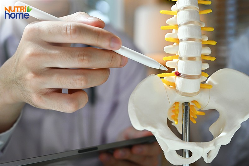Kích thước của đĩa đệm