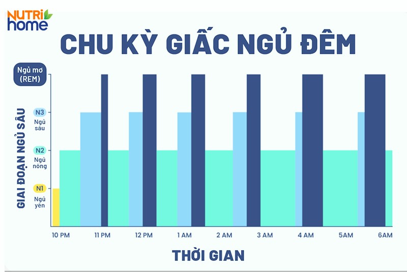 Các giai đoạn của giấc ngủ