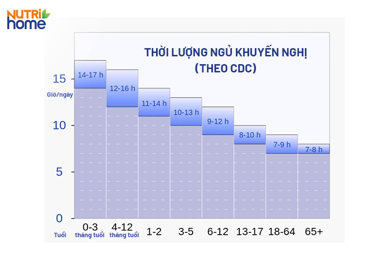 Một ngày ngủ bao nhiêu là đủ?