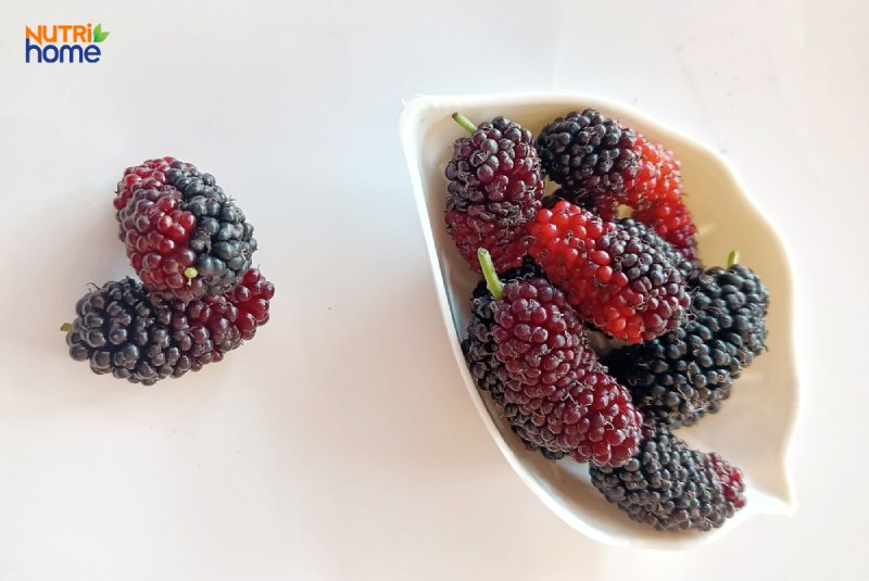 tiểu đường ăn hoa quả gì, dâu tằm