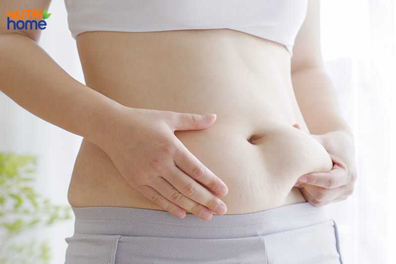 Vai trò của chất béo đối với cơ thể