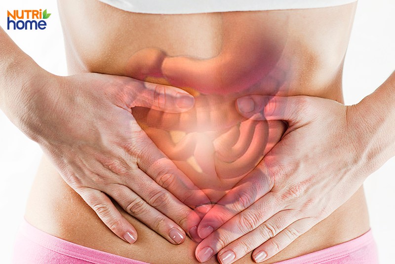 Trường hợp chỉ số mỡ máu thấp hơn bình thường