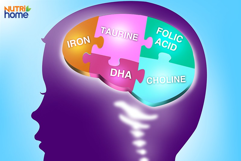 DHA có tác dụng gì?