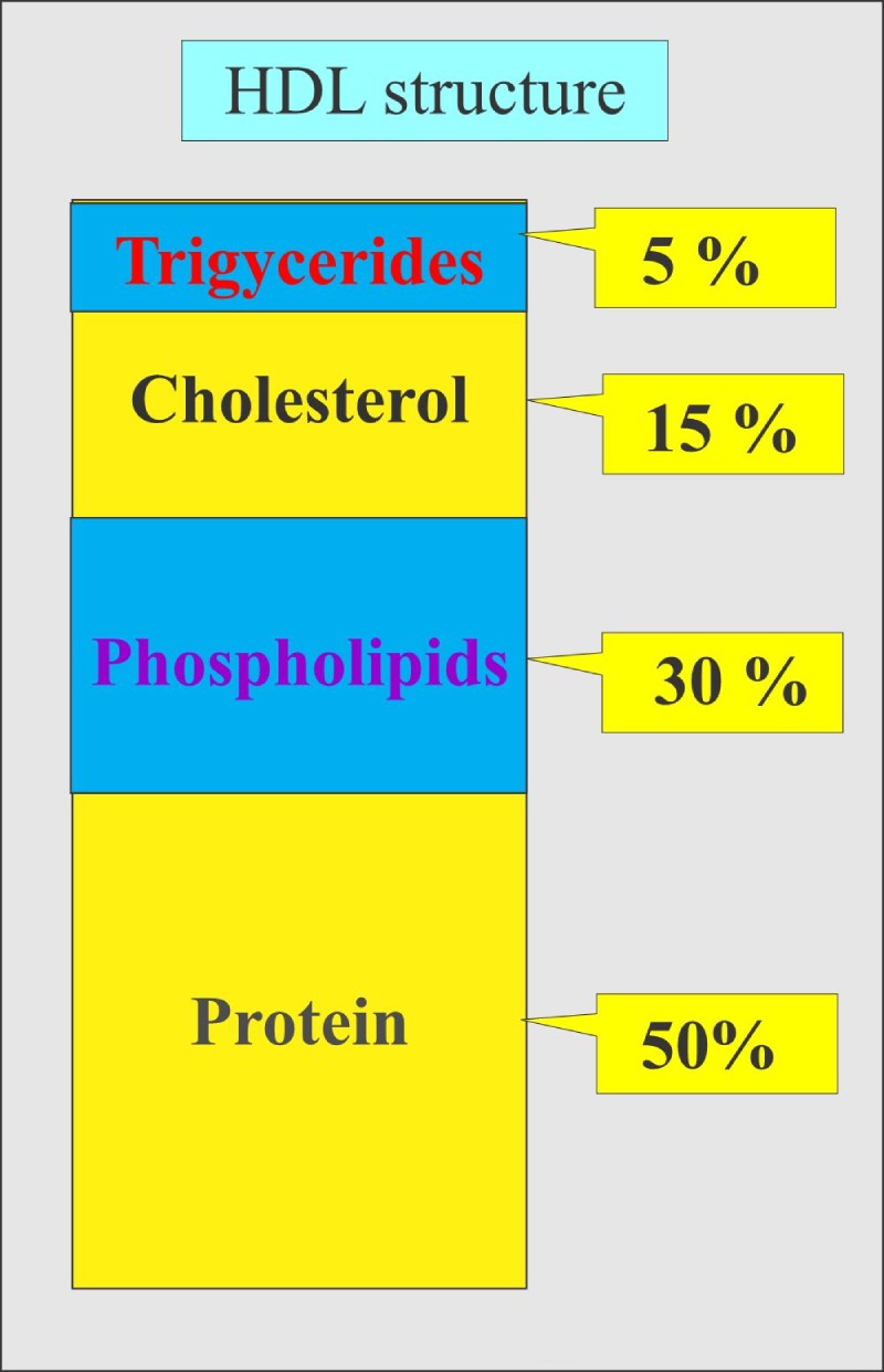 High-density lipoprotein cholesterol, HDL-C, Cholesterol tốt