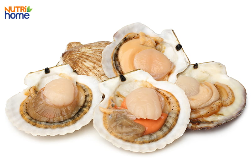 omega 3 có trong thực phẩm nào, sò điệp