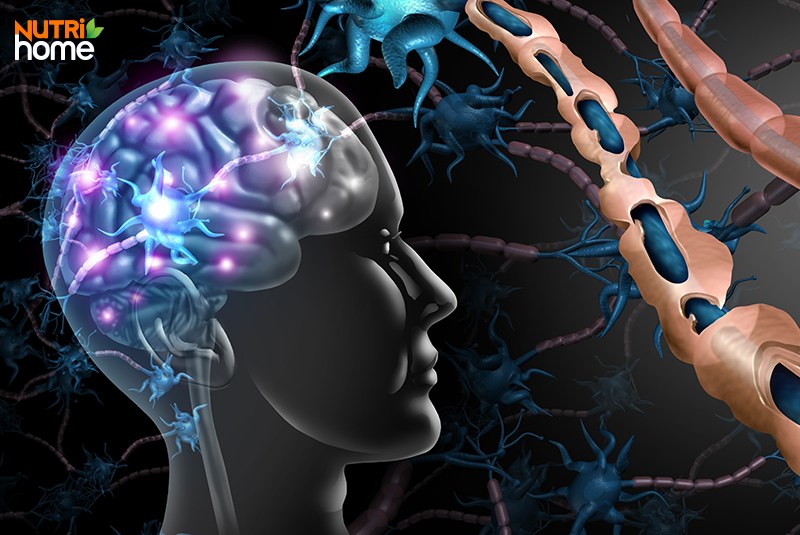 Cholesterol có tác dụng gì?