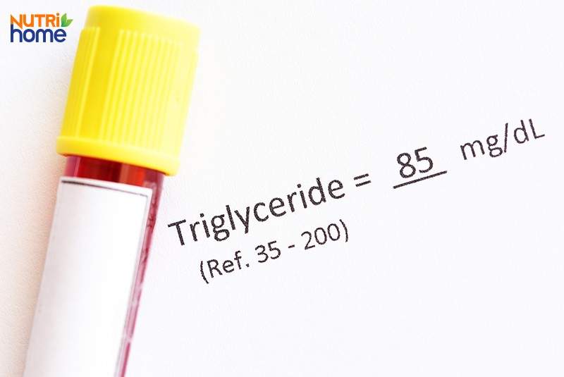 Triglyceride bình thường là bao nhiêu?