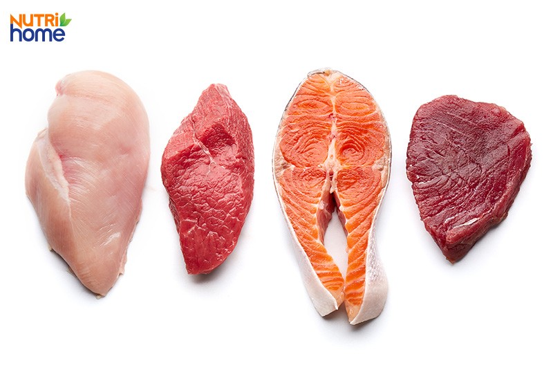 chế độ ăn cho người máu nhiễm mỡ, protein nạc