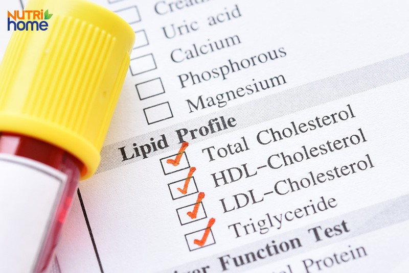 Nồng độ lipid trong máu bao nhiêu là bình thường?