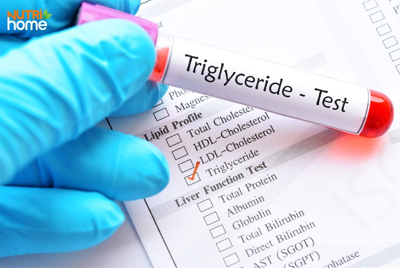 Các lưu ý giúp hạ hàm lượng triglyceride hiệu quả lâu dài