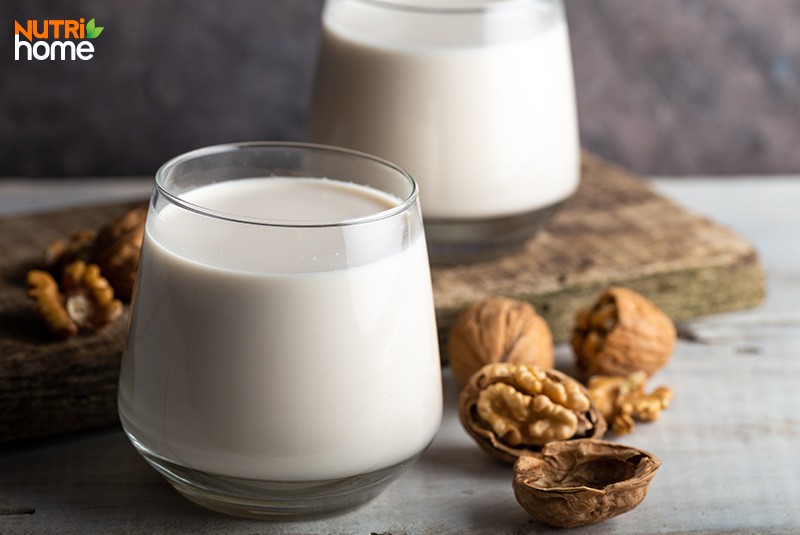 sữa cho người mỡ máu, sữa hạt óc chó
