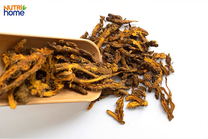 trà uống giảm mỡ máu, trà hoàng liên