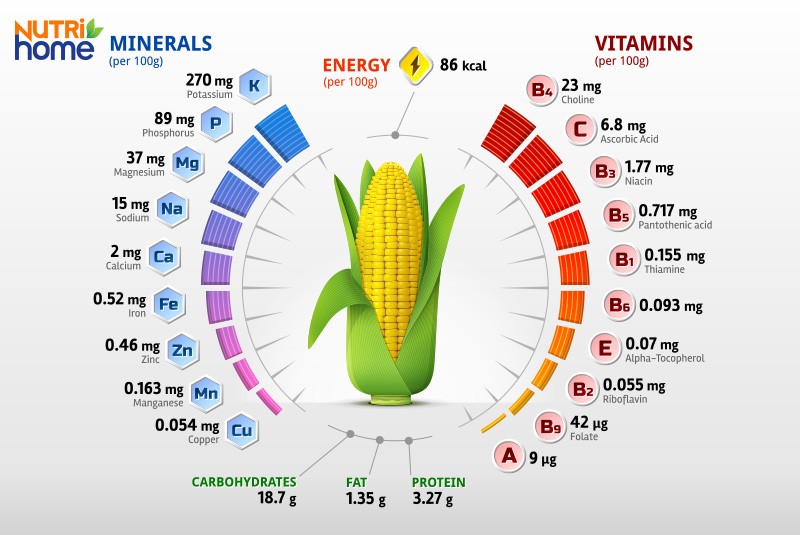 Giá trị dinh dưỡng của bắp