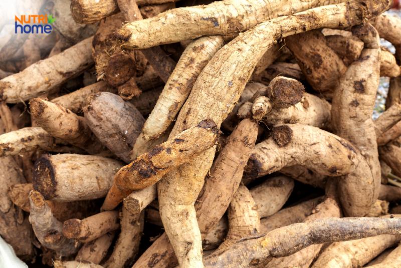 Tiểu đường có ăn được củ sắn dây không?