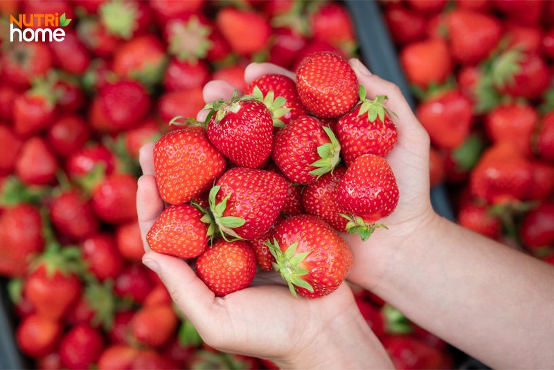 Dâu tây thay thế táo cho người bệnh tiểu đường