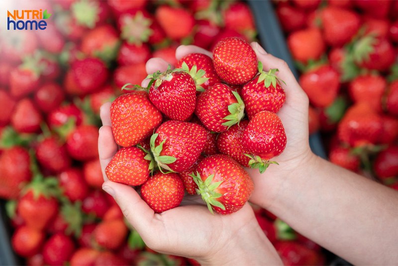 Dâu tây thay thế táo tàu cho người bệnh tiểu đường