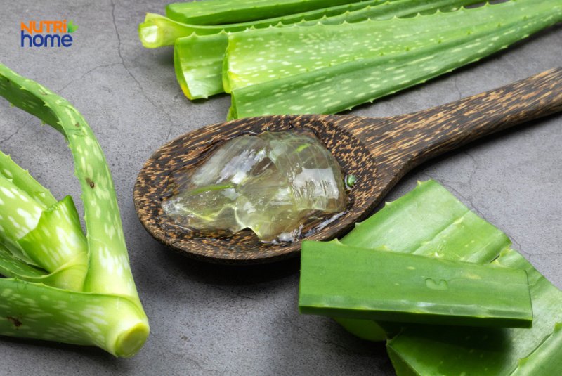 Phụ nữ mang thai ăn nha đam sao cho đúng?