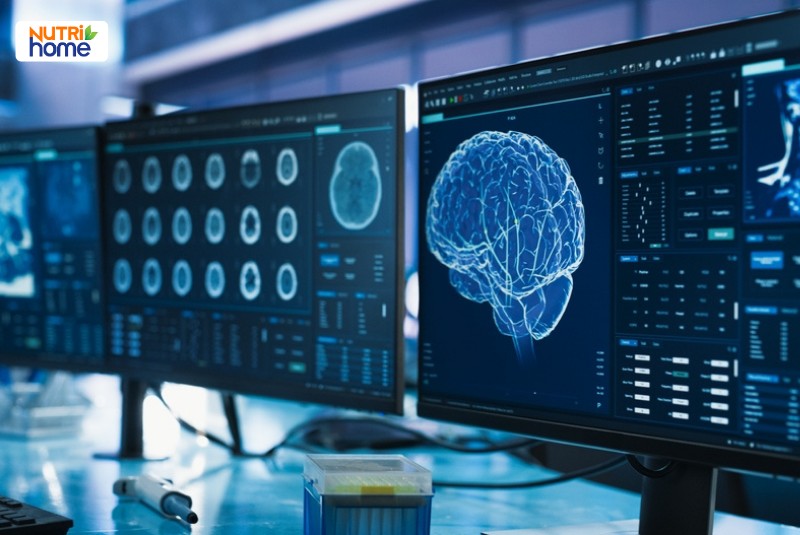 Hình dạng và vị trí của bộ não