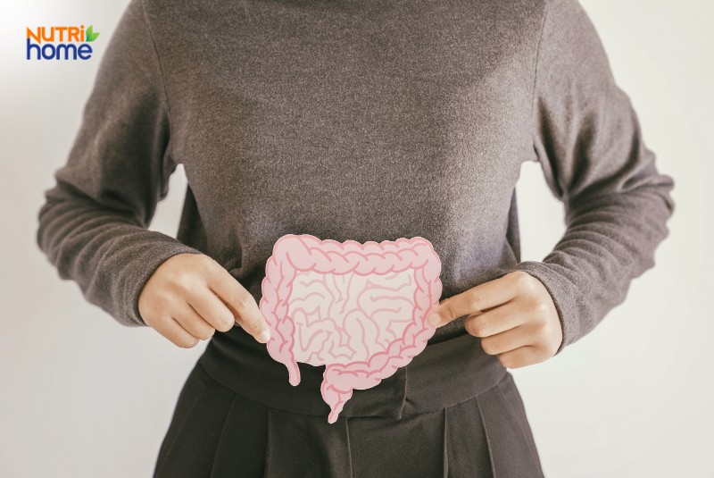 Đại tràng là gì?