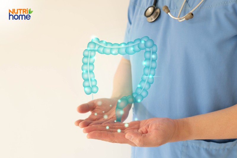 Chức năng của đại tràng