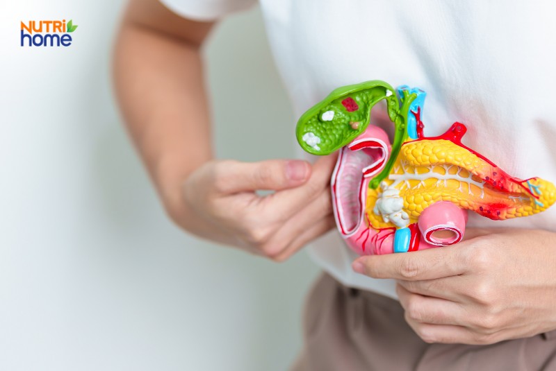 Vai trò và chức năng của tá tràng là gì?