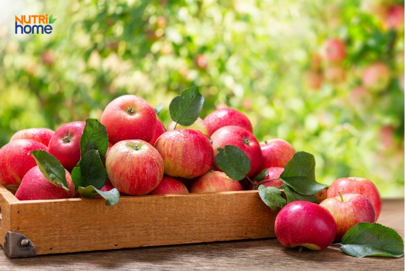 thực phẩm tốt cho hệ tiêu hóa, táo