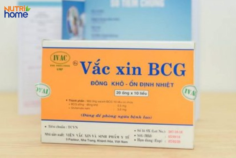 Vắc xin BCG (Việt Nam) phòng bệnh lao