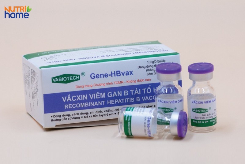 Vắc xin Gene-HBvax (Việt Nam) phòng bệnh viêm gan B