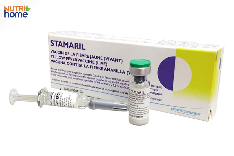 Vắc xin STAMARIL (Pháp) phòng bệnh sốt vàng