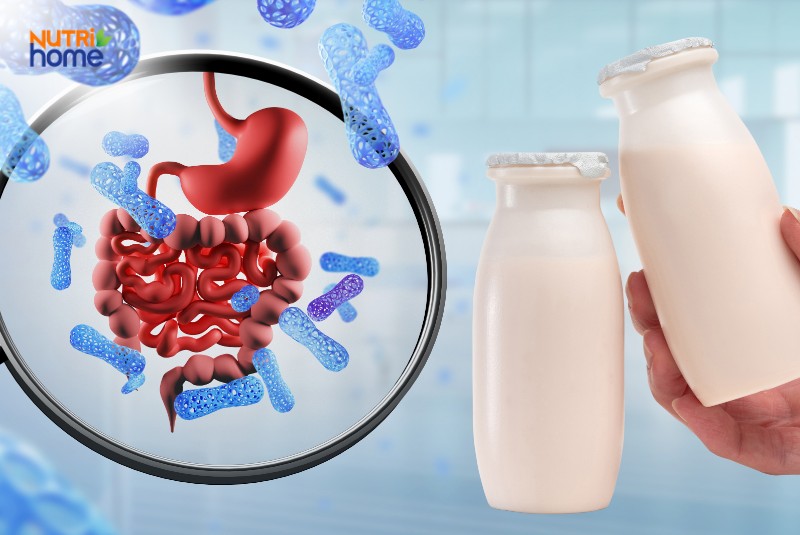 bị viêm dạ dày ruột nên ăn gì, sữa chua