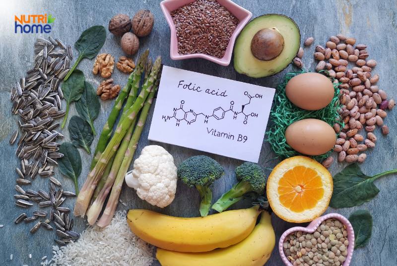 Mới có bầu nên ăn gì để tốt cho thai nhi?