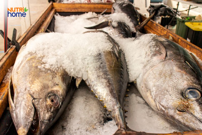 mới mang thai không nên ăn gì, Thực phẩm nguy cơ cao nhiễm độc thủy ngân