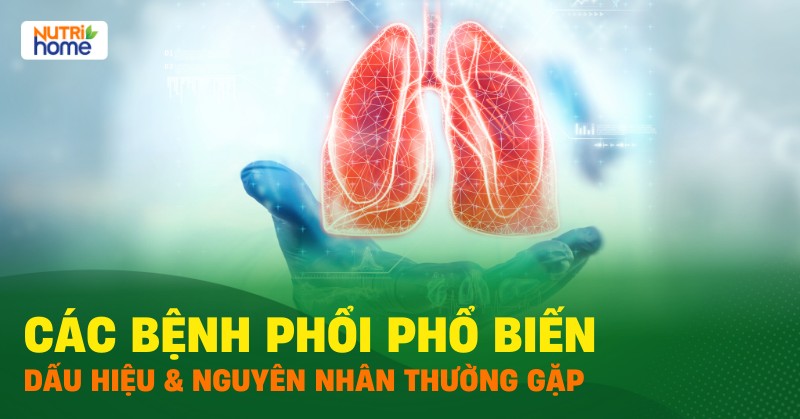 bệnh phổi