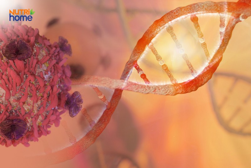 Nguyên nhân u ác tính là gì?