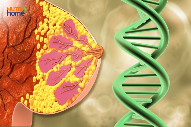 Bệnh ở vú có di truyền không?
