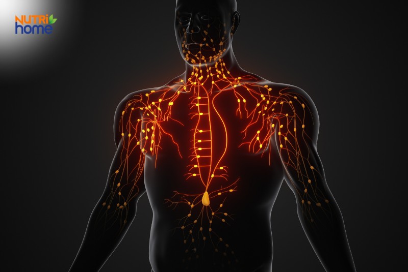 Các giai đoạn của u ác tính